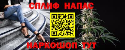ПСИЛОЦИБИНОВЫЕ ГРИБЫ Берёзовский