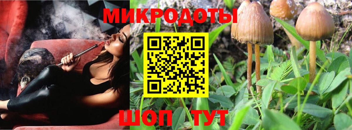 Галлюциногенные грибы Cubensis  Вход с VPN  Керчь  Псилоцибиновые грибы Magic Shrooms 