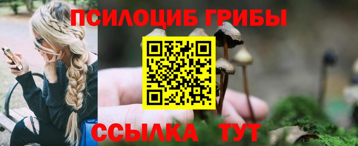 Галлюциногенные грибы Psilocybe Керчь